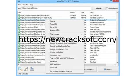 VovSoft SEO Checker 10.0