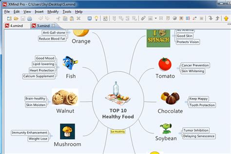 XMind Pro 2025 Download For PC

