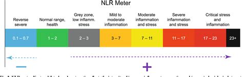 NLR GSP 12.0.4.2 (2025)